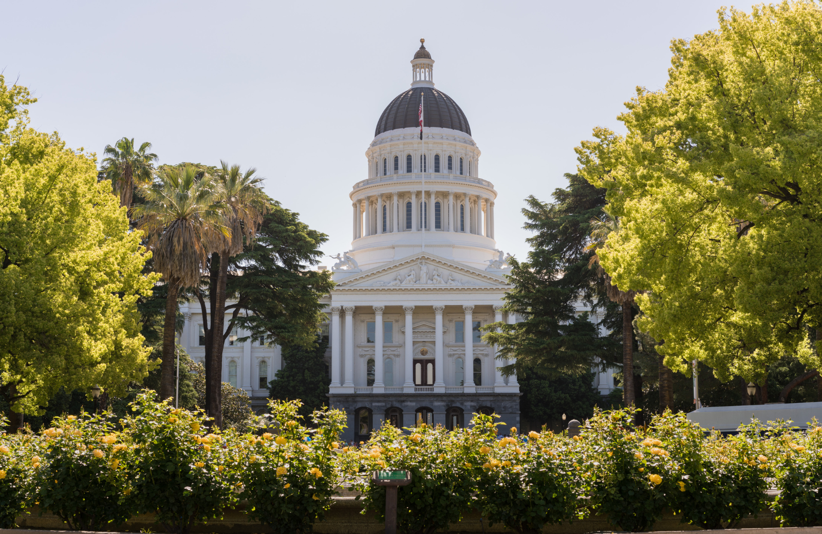 directions to mole removal sacramento from Sacramento State Capitol